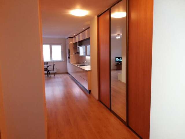 Апартаменты Centro apartamentai-Konarskio apartamentai Вильнюс-30