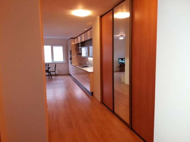 Апартаменты Centro apartamentai-Konarskio apartamentai Вильнюс-51